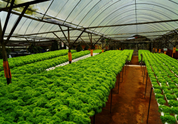 Untitled design (10)